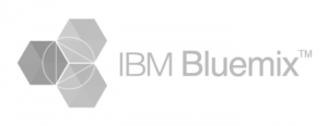 IBM Bluemix Partner Logo
